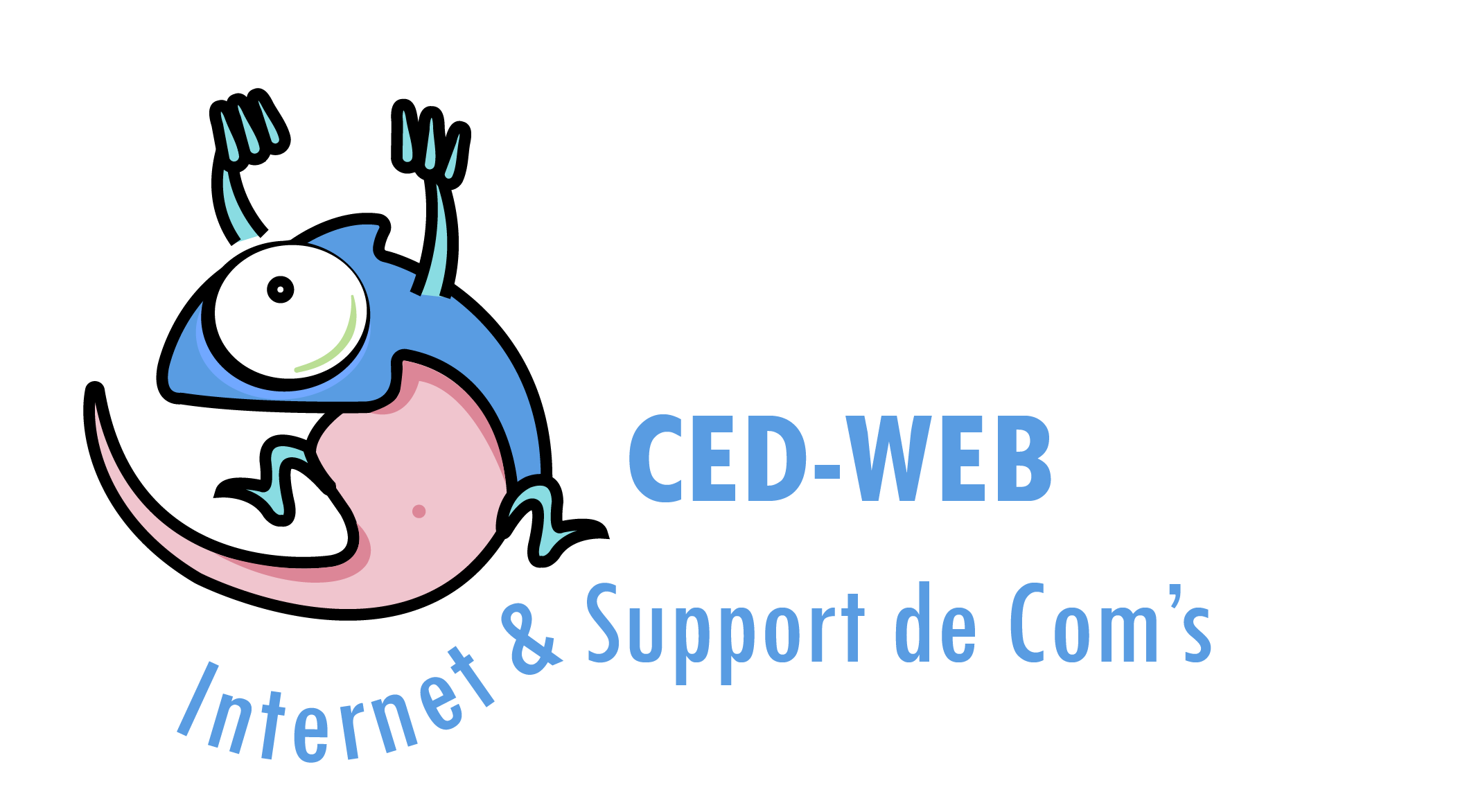 Cédric Verjat, CED-WEB